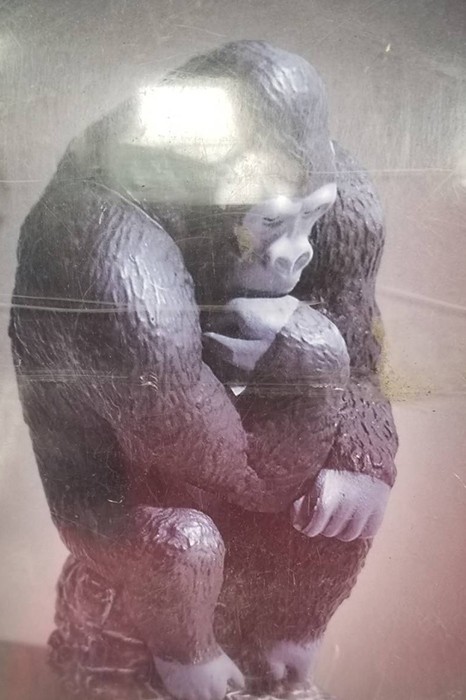 運営Bの宣材写真_0